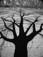 Seeing what's ahead: Getting around as we age