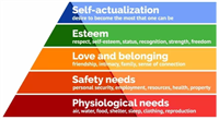 Pandemic bring hierarchy of needs into focus